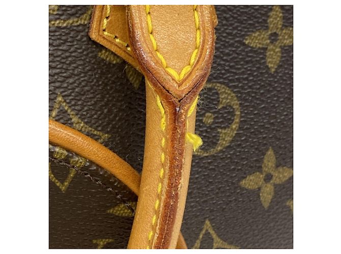 Borsa a mano Ellipse PM Monogram Louis Vuitton Marrone - vista 7