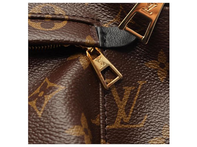 Zaino Palm Springs MM di Louis Vuitton Marrone - vista 7
