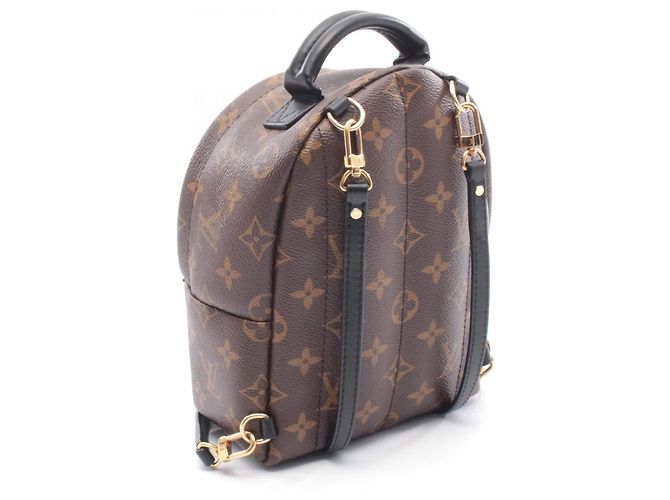 Zaino/borsa Palm Springs Mini di Louis Vuitton Marrone Nero - vista 2