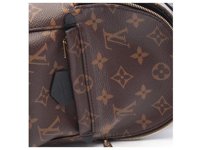 Zaino/borsa Palm Springs Mini di Louis Vuitton Marrone Nero - vista 6