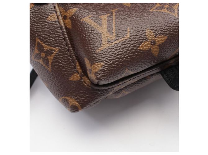 Zaino/borsa Palm Springs Mini di Louis Vuitton Marrone Nero - vista 9