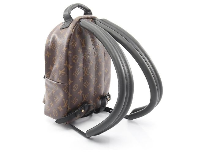 Zaino/borsa Palm Springs PM di Louis Vuitton Marrone Nero - vista 2