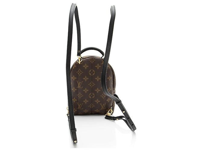 Louis Vuitton Monogram Canvas Palm Springs Mini Rucksack Schwarz - Ansicht 3