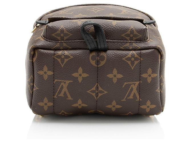 Louis Vuitton Monogram Canvas Palm Springs Mini Rucksack Schwarz - Ansicht 4