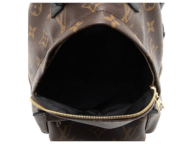 Louis Vuitton Monogram Canvas Palm Springs Mini Rucksack Schwarz - Ansicht 7
