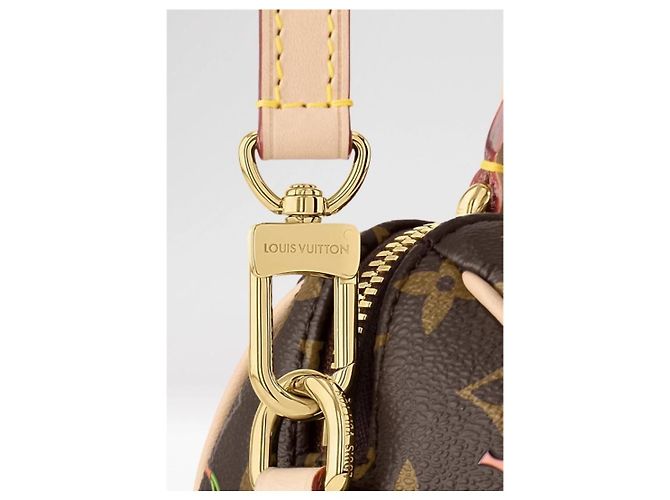 Louis Vuitton LV Ciliegia x Murakami Speedy 20 Marrone - vista 3