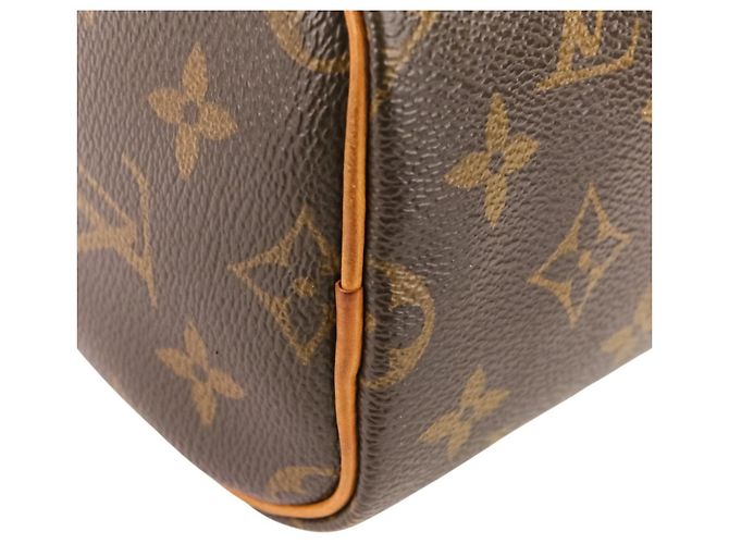 Pochette a Spalla Nano Speedy Monogram Louis Vuitton Marrone - vista 12