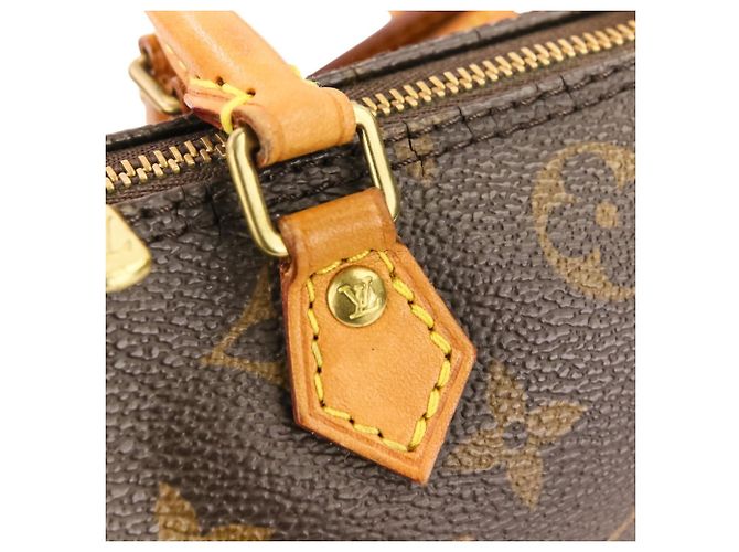 Pochette a Spalla Nano Speedy Monogram Louis Vuitton Marrone - vista 13
