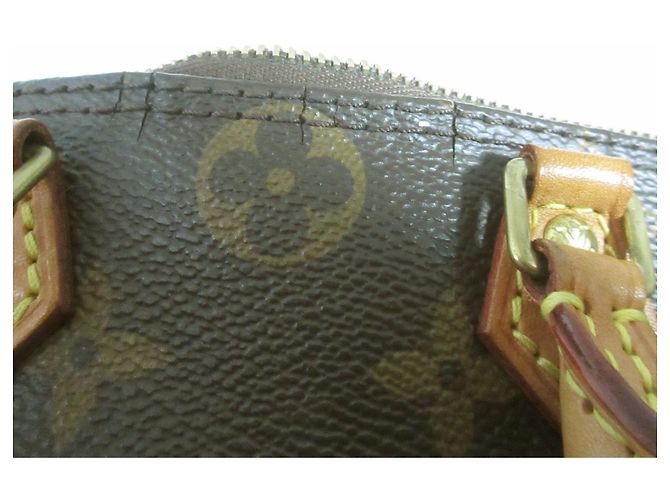 Pochette a Spalla Nano Speedy Monogram Louis Vuitton Marrone - vista 16