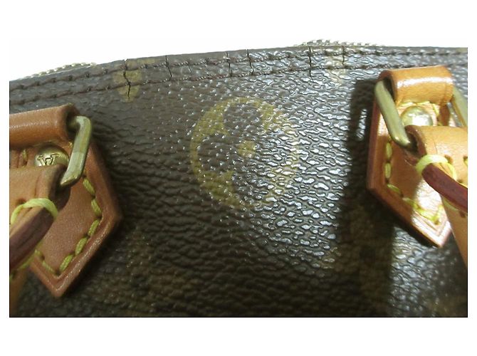 Pochette a Spalla Nano Speedy Monogram Louis Vuitton Marrone - vista 17
