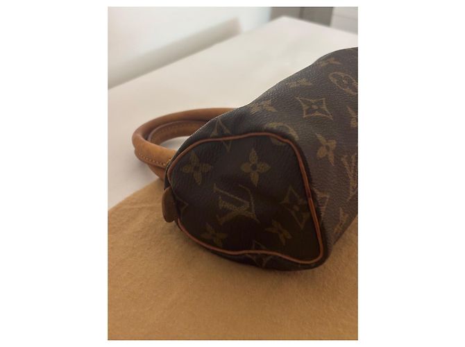Louis Vuitton Speedy Nano Marrone - vista 16