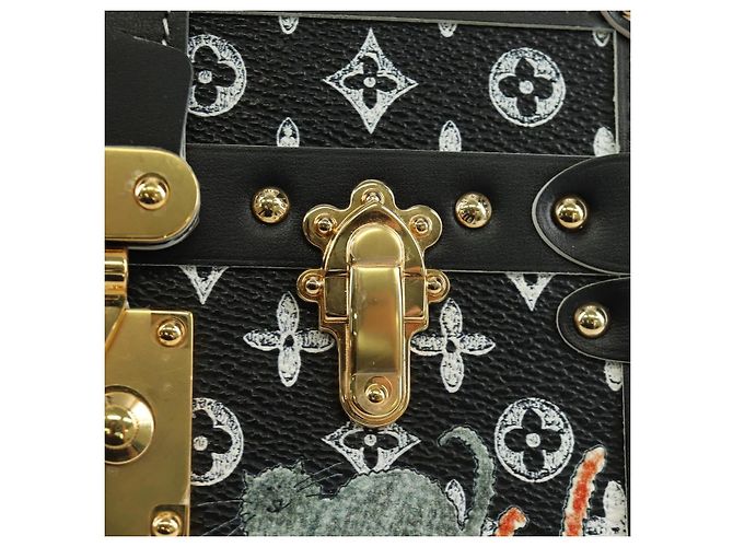 LOUIS VUITTON Borsa a Spalla Catgram Titmal M44437 LV Auth LNZ428SM Monogramma - vista 21