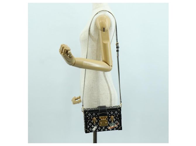 LOUIS VUITTON Borsa a Spalla Catgram Titmal M44437 LV Auth LNZ428SM Monogramma - vista 30