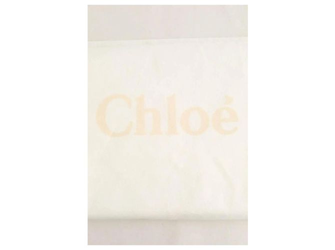 Chloé Botas de camurça camel Camelo - vista 5