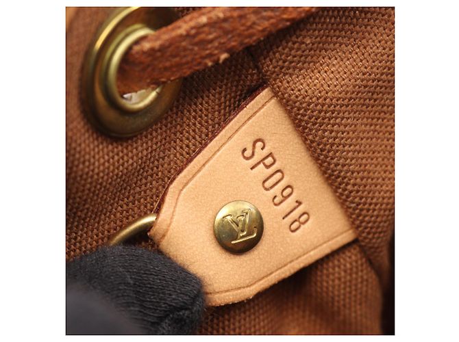 Zaino/borsa Montsouris MM Louis Vuitton Marrone - vista 5