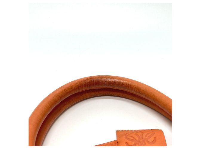 Borsa Amazona Anagram Loewe in arancione - vista 10