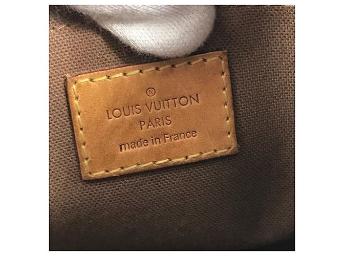 Borsa a Spalla Monogram Thames PM M56384 di Louis Vuitton Marrone - vista 14