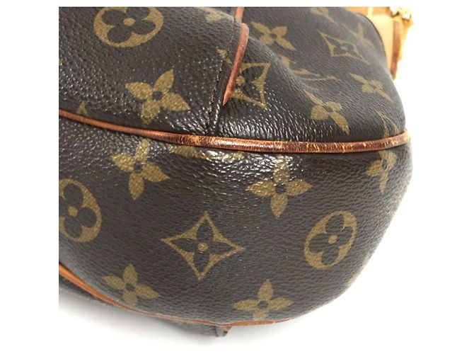 Borsa a Spalla Monogram Thames PM M56384 di Louis Vuitton Marrone - vista 6
