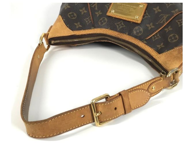 Borsa a Spalla Monogram Thames PM M56384 di Louis Vuitton Marrone - vista 8