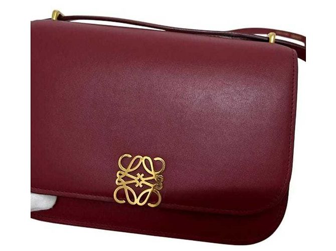 Borsa a Spalla Goya Small di Loewe Rosso - vista 8
