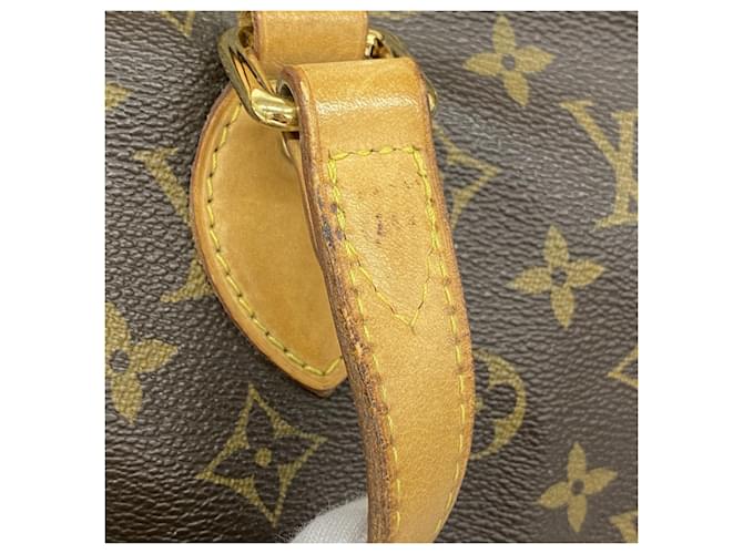 Borsa Louis Vuitton Monogram Palermo PM Marrone - vista 8