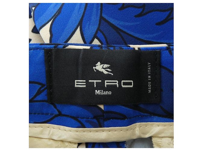 Etro Hose Blau Beige - Ansicht 4