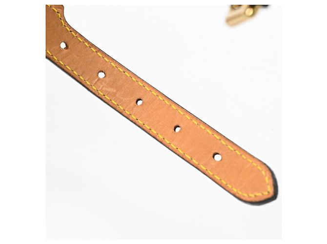 Louis Vuitton Monogram Collier Baxter PM Dog Collar Brown - view 10