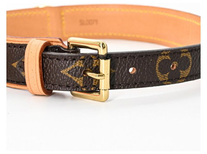 Louis Vuitton Monogram Collier Baxter PM Dog Collar Brown - view 5