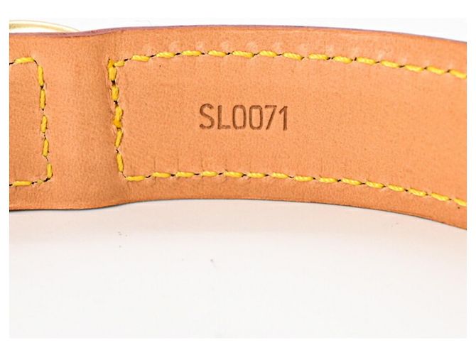 Louis Vuitton Monogram Collier Baxter PM Dog Collar Brown - view 8