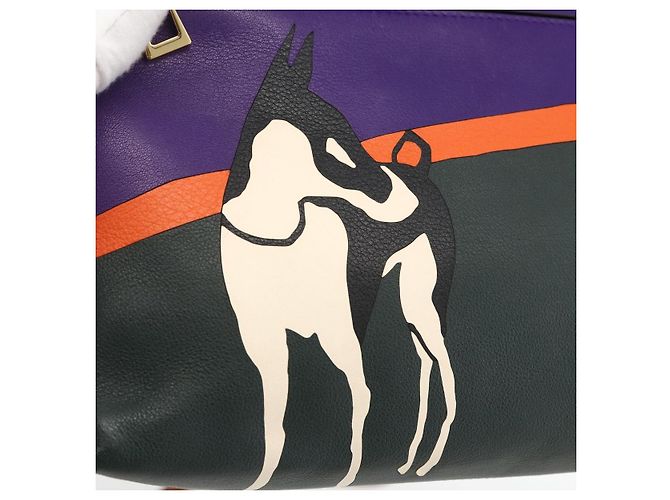 Borsa a spalla in pelle LOEWE John Allen Collaboration Viola Oro Auth ARZ442M D'oro Porpora - vista 18