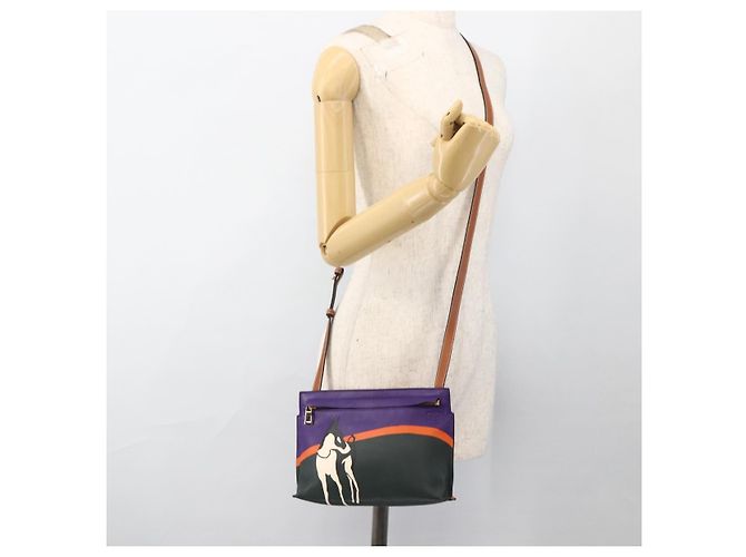 Borsa a spalla in pelle LOEWE John Allen Collaboration Viola Oro Auth ARZ442M D'oro Porpora - vista 23