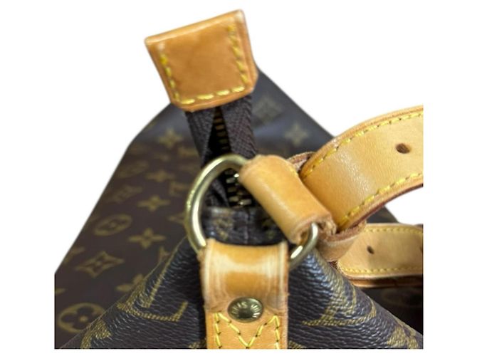 Borsa a Spalla Monogram Three Vanity Star di Louis Vuitton x Sharon Stone Amfar Marrone - vista 14