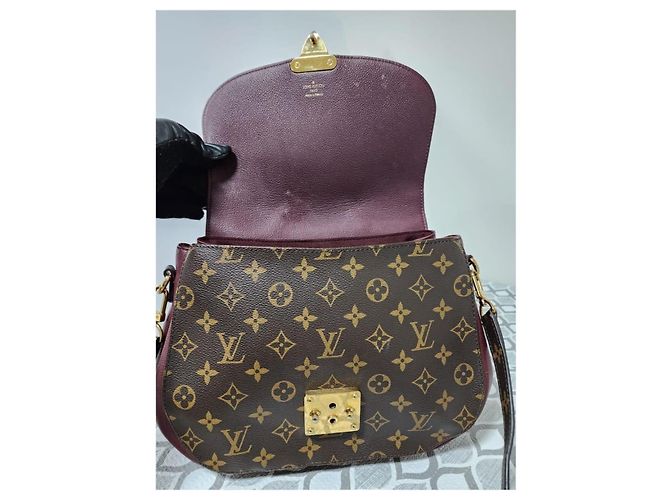 LOUIS VUITTON Sac Eden MM en toile Monogram Bordeaux Marron/Bourgogne - vue 12