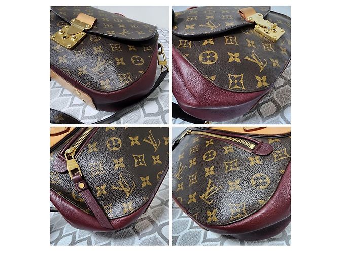 LOUIS VUITTON Sac Eden MM en toile Monogram Bordeaux Marron/Bourgogne - vue 13