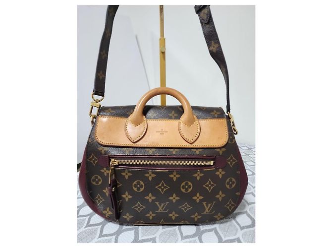 LOUIS VUITTON Sac Eden MM en toile Monogram Bordeaux Marron/Bourgogne - vue 16