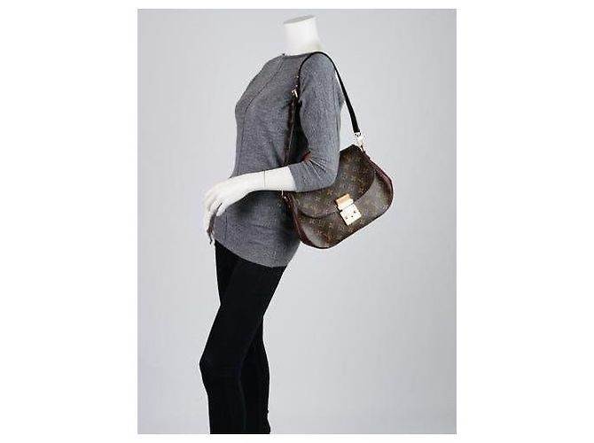 LOUIS VUITTON Sac Eden MM en toile Monogram Bordeaux Marron/Bourgogne - vue 17