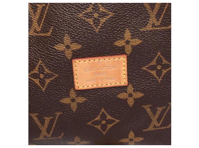 Borsa a Spalla Saumur 30 Louis Vuitton Marrone Monogramma - vista 5