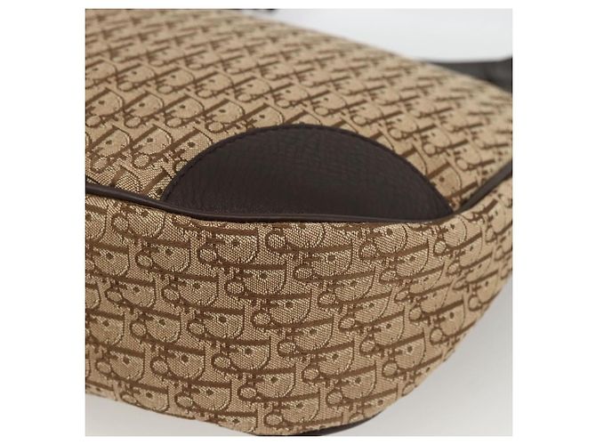 Bolso de Hombro de Lona Trotter Christian Dior Beige Plata Auth BSZ033SAV - vista 15