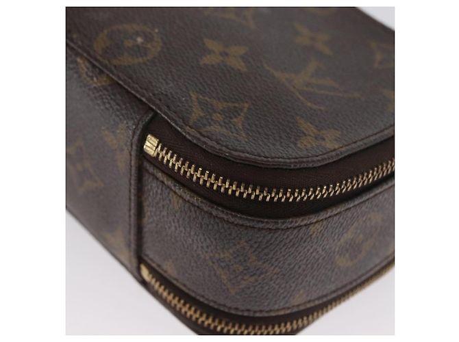 LOUIS VUITTON Trousse Monogram Blush GM Pochette Cosmetica M47505 LV Auth LNZ964 Monogramma - vista 16