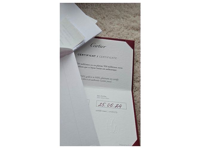 Collana Choker Juste Un Clou di Cartier - vista 4