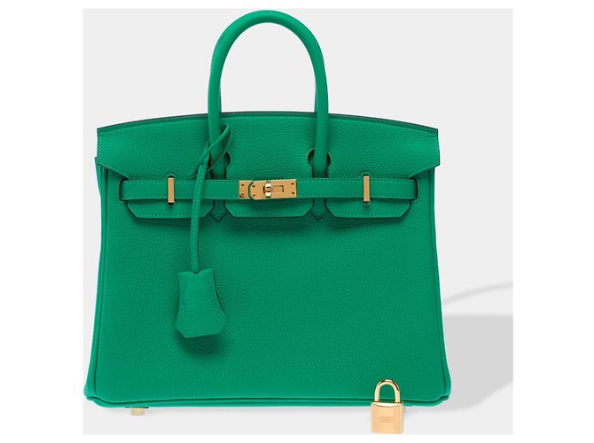 Hermès Borsa HERMES Birkin 25 in Pelle Verde - 103385 - vista 4