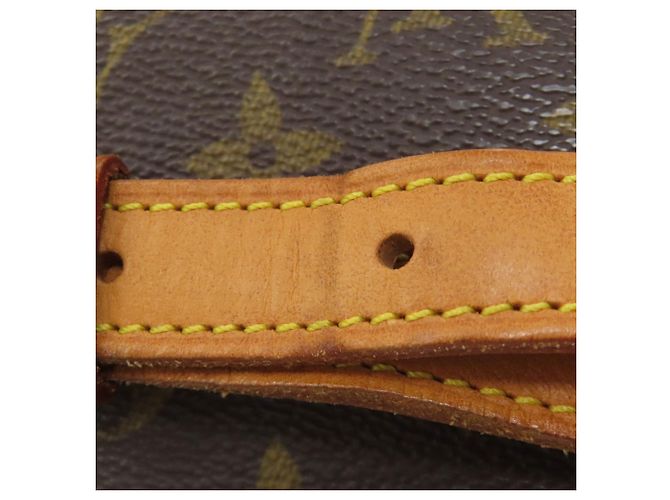 Borsa a Spalla Sologne M42250 di Louis Vuitton Marrone Monogramma - vista 14