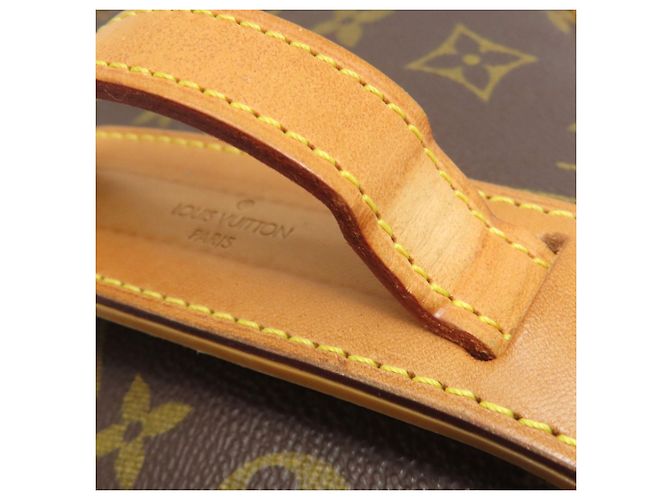 Borsa a Spalla Sologne M42250 di Louis Vuitton Marrone Monogramma - vista 16
