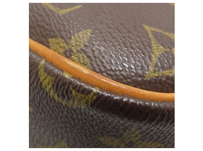 Borsa a Spalla Sologne M42250 di Louis Vuitton Marrone Monogramma - vista 20