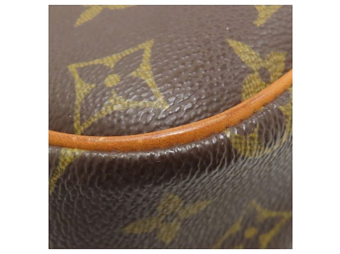 Borsa a Spalla Sologne M42250 di Louis Vuitton Marrone Monogramma - vista 21