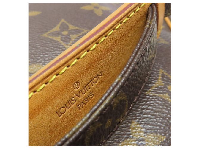 Borsa a Spalla Amazon M45236 di Louis Vuitton Marrone Monogramma - vista 16