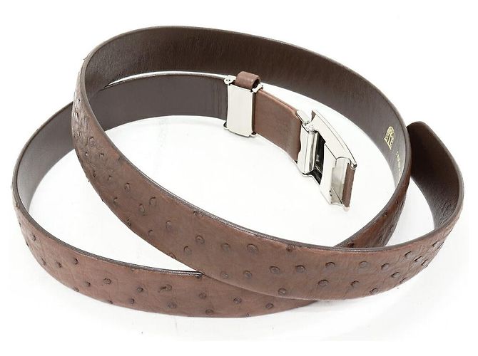 Autre Marque Cintura in struzzo Bronzo Marrone chiaro - vista 2