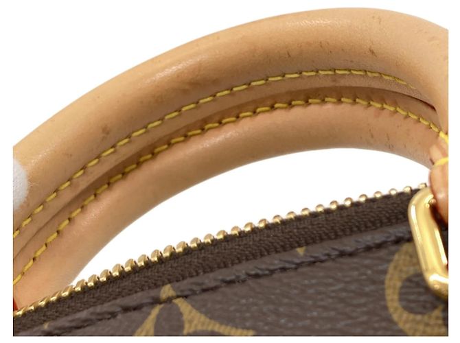 Borsa Louis Vuitton Monogram Speedy Bandoulière 20 Monogramma - vista 12