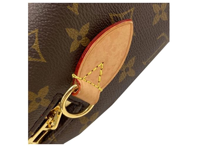 Borsa Louis Vuitton Monogram Speedy Bandoulière 20 Monogramma - vista 9