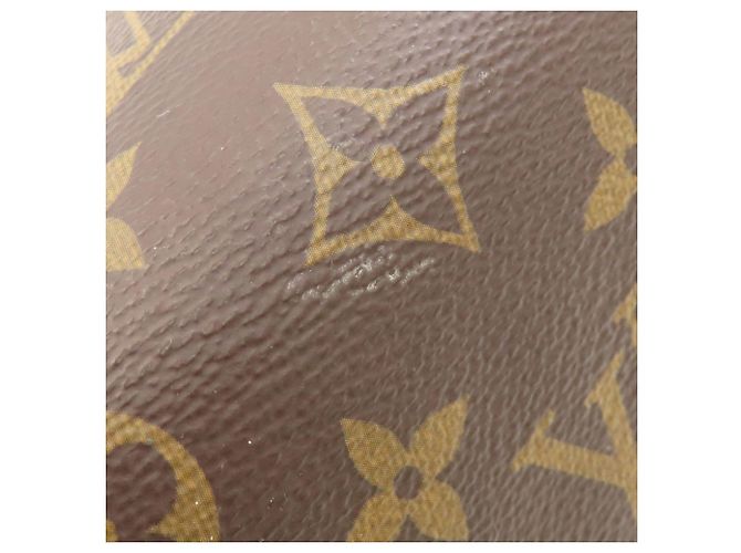 Borsa Louis Vuitton Monogram Boetie NM PM Monogramma - vista 14